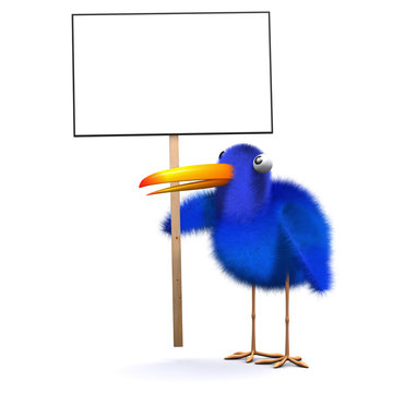 3d Blue Bird Holds Placard