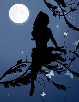 fairy silhouette in night sky vector illustration