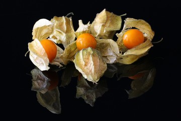 Physalisfrüchte