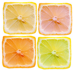 Four square summer fruits isolated on white
