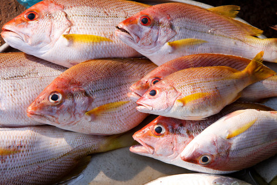 frischer Fisch auf einem asiatischen Markt