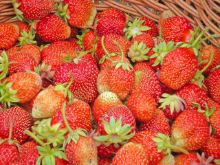 Strawberry in a basket