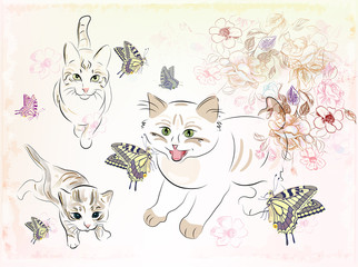 cats and butterflies