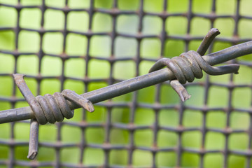 barbed wire and metal lattice against green grass and foliage