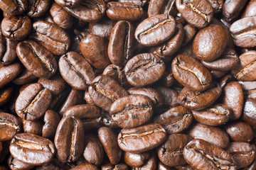 coffee beans