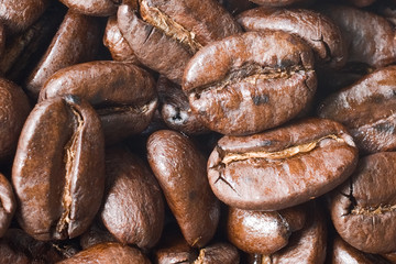 coffee beans
