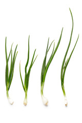 green onions on white background