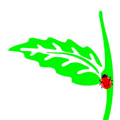 ladybug on list of flower illustration