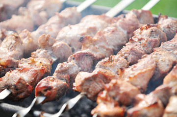 meat slices