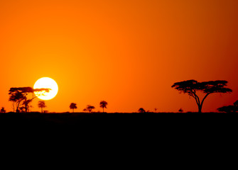 African Sunrise, Serengeti, Tanzania
