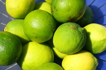 Limetten aus biologischem Anbau