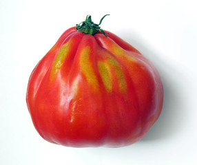 pomodoro biologico