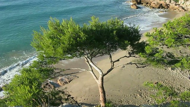 CALA EN EL MEDITERRANEO