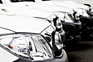 Fleet of White Cars and trucks