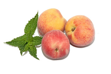 pêche