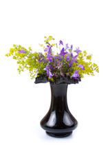 Beautiful bouquet of wild flowers