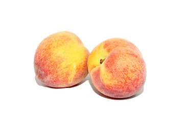 pêche