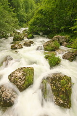 river stream