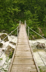 Fototapeta na wymiar wooden footbridge