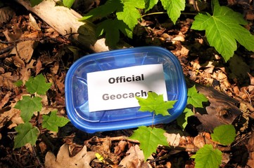 official geocache