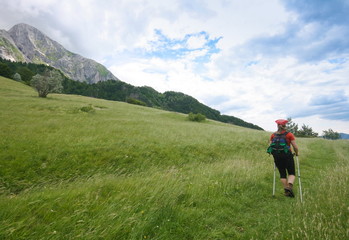 Fototapeta na wymiar alpine meadows