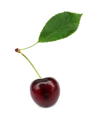 Cherry with green leaf