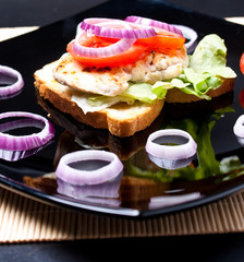 Chicken sandwich