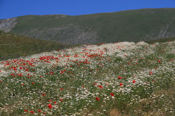 Abruzzen