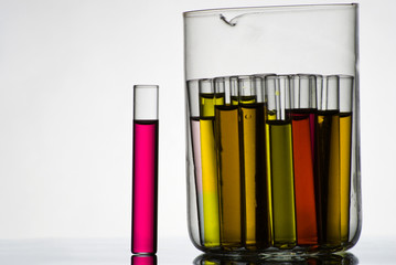 Test tubes in glass container on white