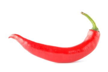 Chili pepper isolated