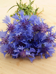 Cornflowers