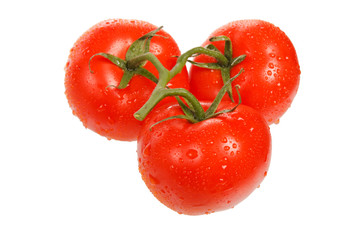 fresh tomatoes on the white background