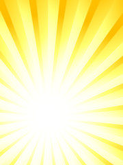 Fototapeta premium sunburst vector