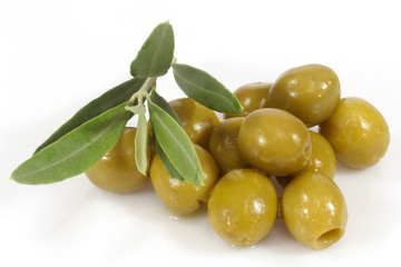 Grüne Oliven und Zweig