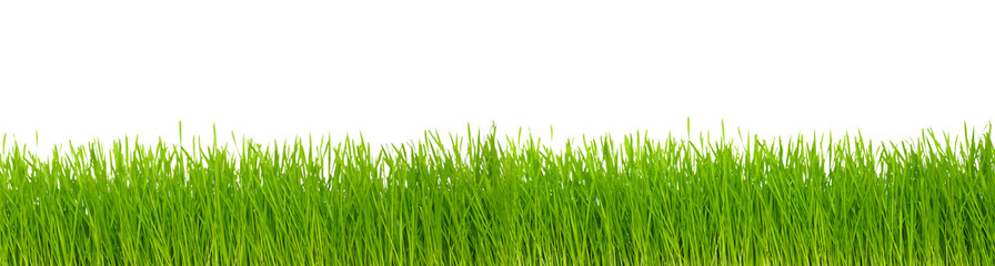 green grass