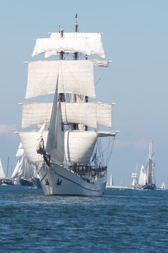 Fototapeta Sailing