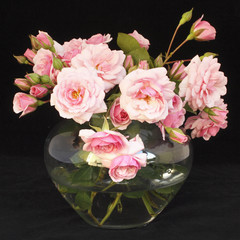 Kleine, hellrosa Rosen in Vase vor schwarzem Hintergrund