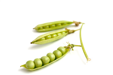 Green peas pods