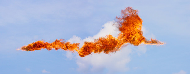 oiseau de feu