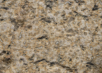 Stone texture