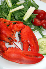 Lobster Salad