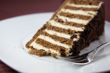 Cream cake with dark chocolate