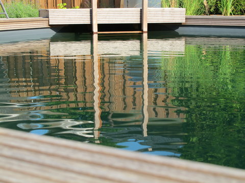 Schwimmteich unseres Reihenhauses