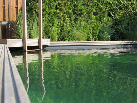 Schwimmteich unseres Reihenhauses