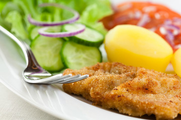 Schnitzel with potatoes and fresh vegetables
