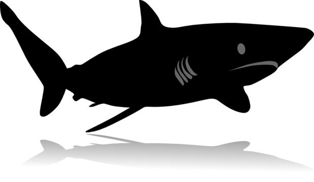 shark silhouette vector