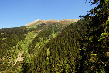 Alpenpanorama