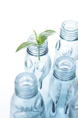 empty glass bottle and leaf for recycle image