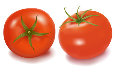 Tomatoes. Photo-realistic vector.