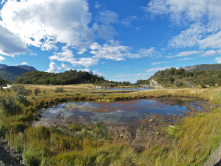 Fototapeta na wymiar Tierra del Fuego national park VIII
